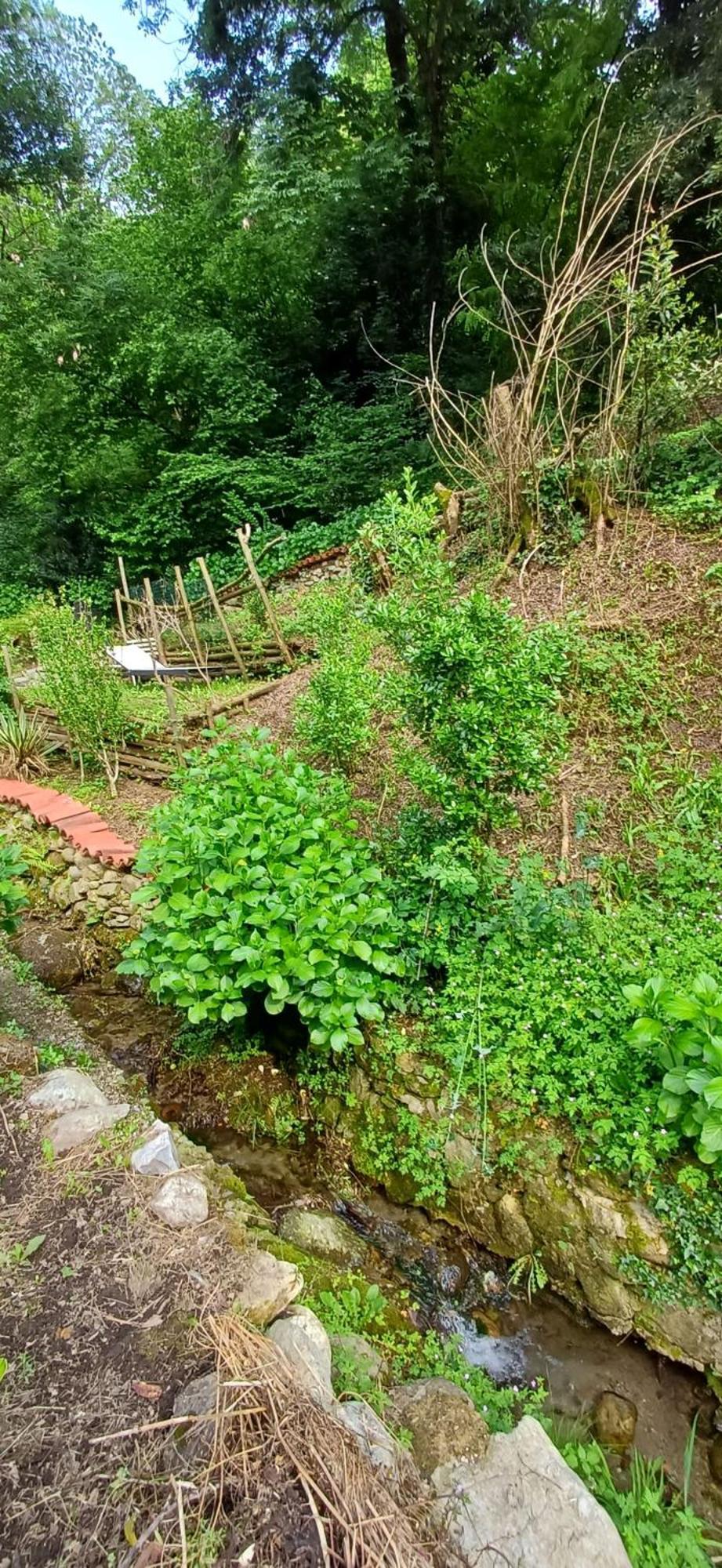 La Casetta Nel Verde Όπως Εξωτερικό φωτογραφία